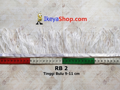 RB 2  large2
